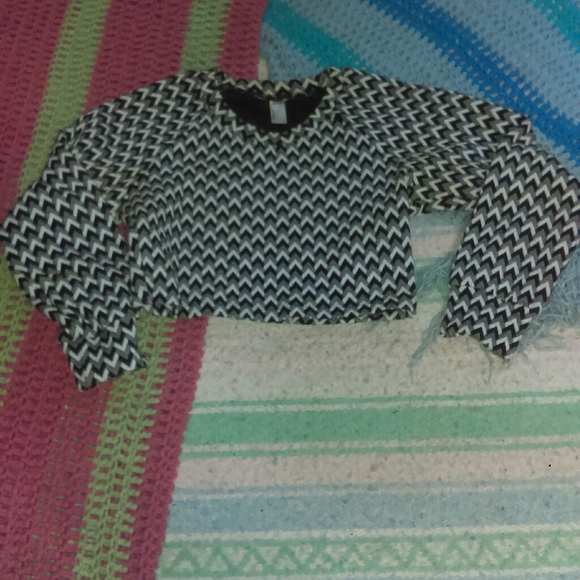 American Apparel Tops - American Apparel Chevron Crop top Long-sleeved